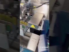 Macchina di imballaggio a stazione singola con sacchetto a sbarco di cereali di spezie di farina d'avena