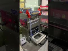 sigillatrice elettrica DF280YT