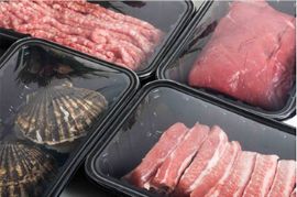 Plastic Material Tray Electric Sealer DF250T High Quality Semi-Automatic Fast Food Box Tray Sealer Machine