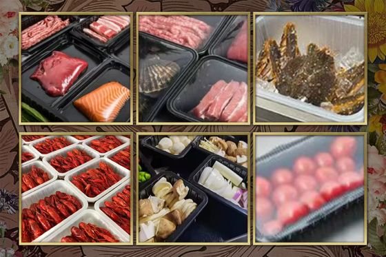 Fully Automatic Modified Atmosphere Packaging Machine DQ430T-E with Food Grade Stainless Steel and 6061 Aluminum Mold Tray Sealer